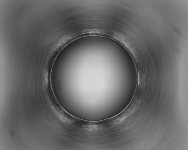 X0000112370253200908131523