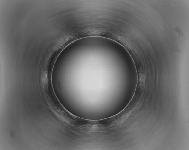 X0000112370254200908131523