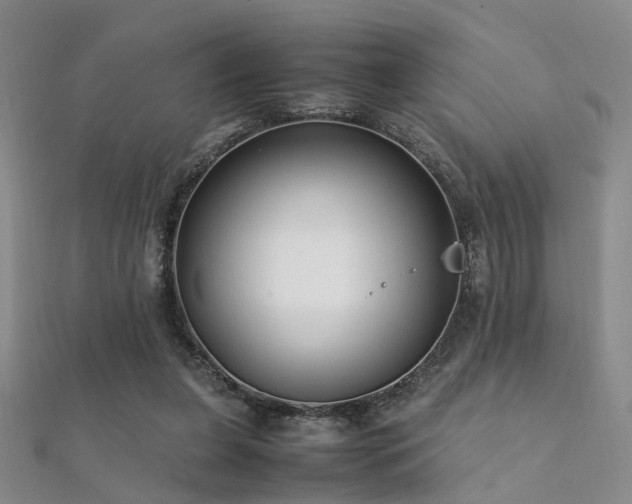 X0000112370255200908131523