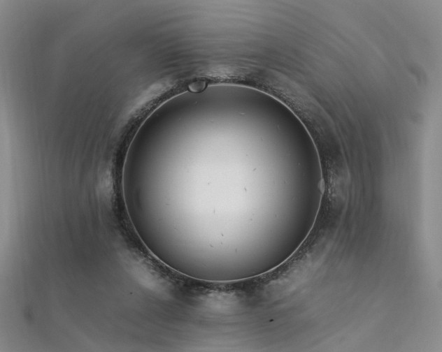 X0000112370256200908131523