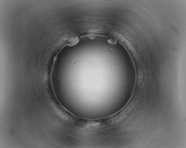 X0000112370257200908131523