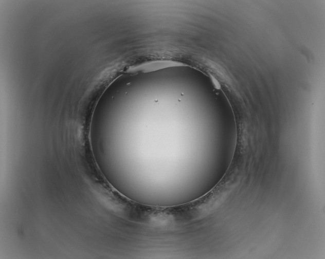 X0000112370258200908131523