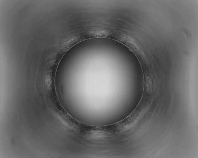 X0000112370259200908131524