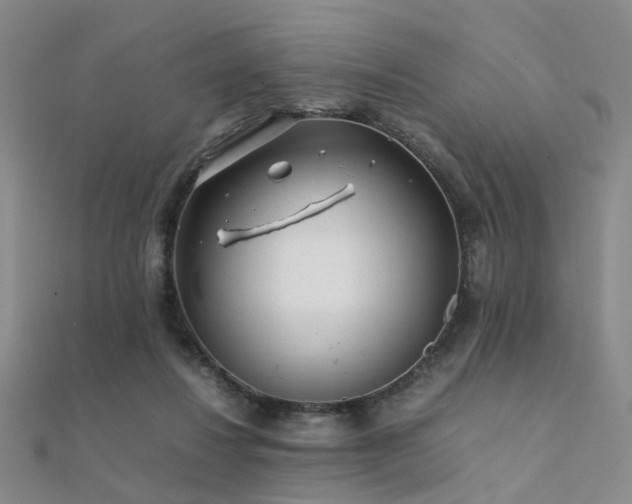 X0000112370260200908131524