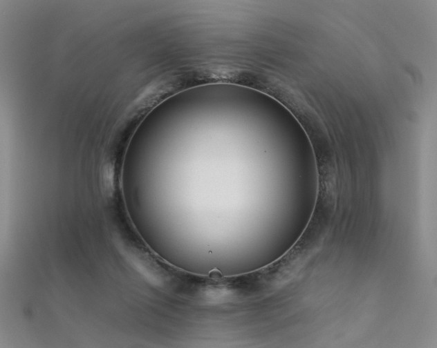 X0000112370262200908131524