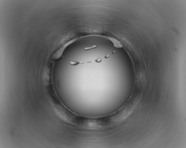 X0000112370264200908131524