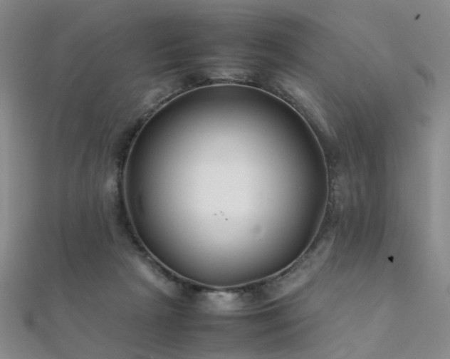 X0000112370265200908131524