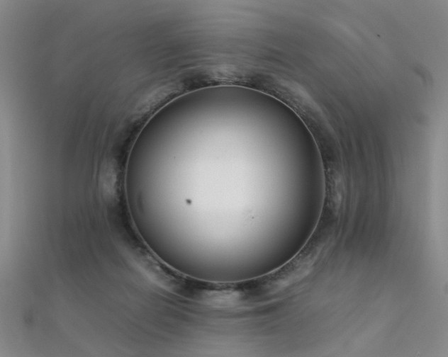 X0000112370266200908131524