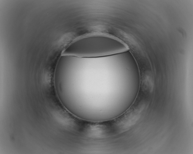 X0000112370268200908131524