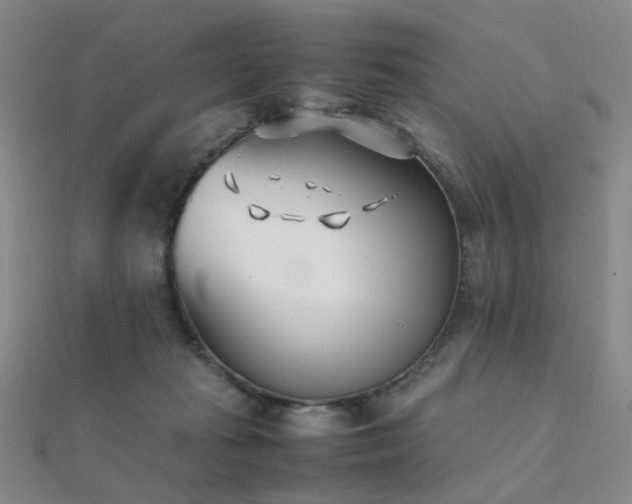 X0000112370269200908131524