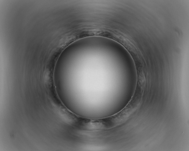 X0000112370270200908131524