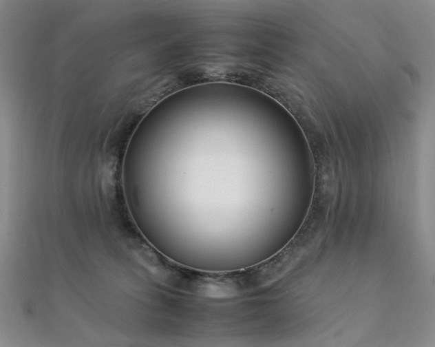 X0000112370275200908131524