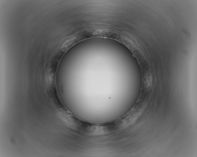 X0000112370276200908131524