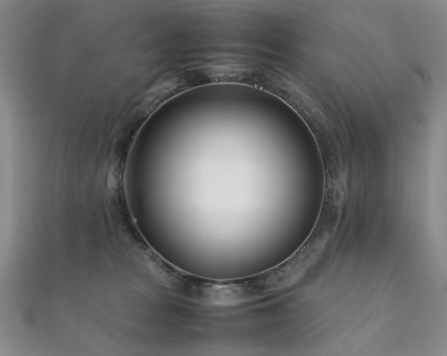 X0000112370277200908131524