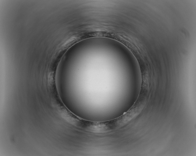 X0000112370278200908131524