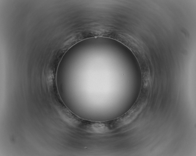 X0000112370279200908131524