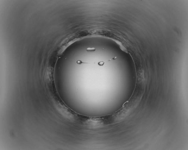 X0000112370280200908131524