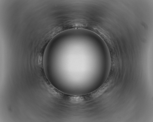 X0000112370281200908131524