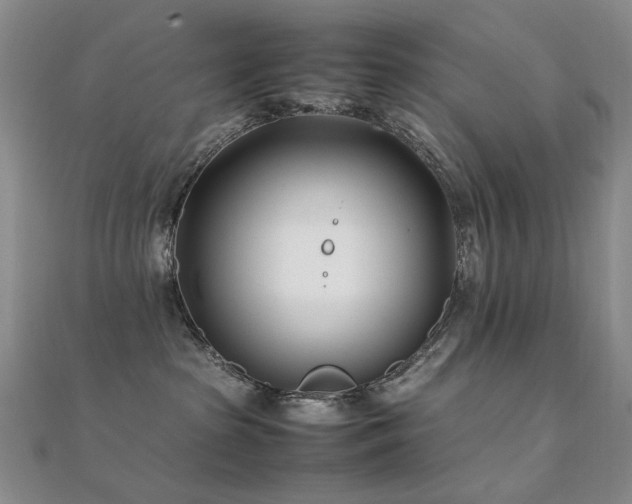 X0000112370285200908131524