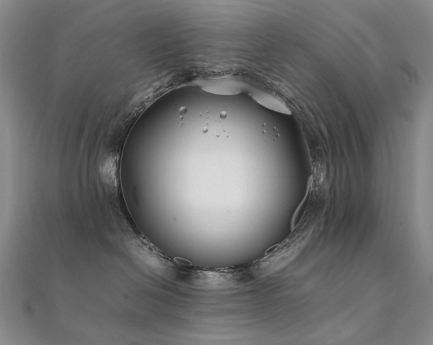 X0000112370286200908131524