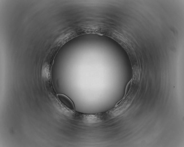 X0000112370287200908131524