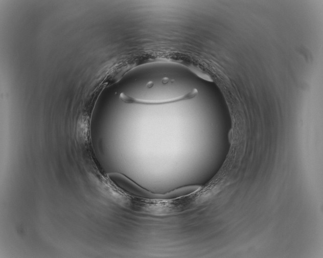 X0000112370288200908131524