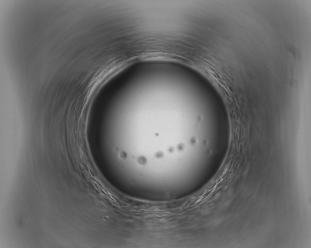 X0000112370289200908131523