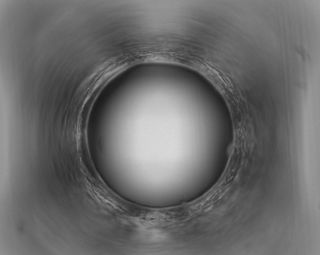 X0000112370290200908131523