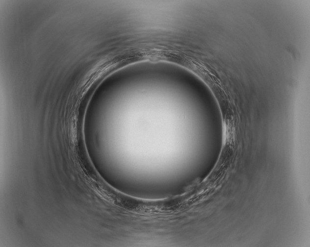 X0000112370291200908131523