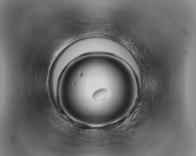 X0000112370292200908131523