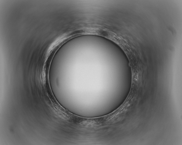 X0000112370294200908131523