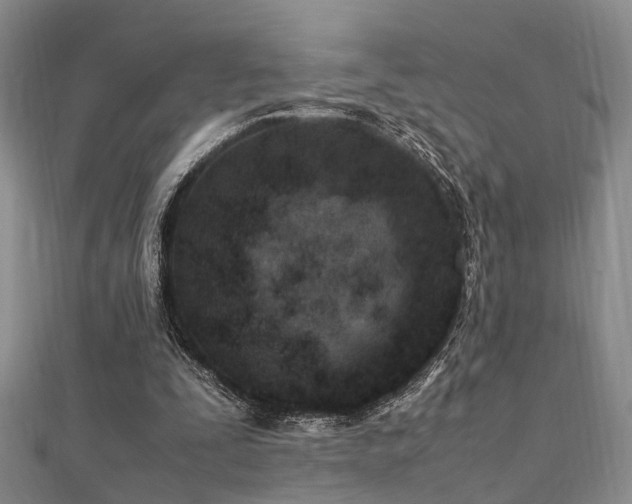 X0000112370295200908131523