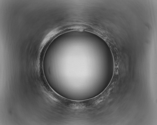 X0000112370296200908131523