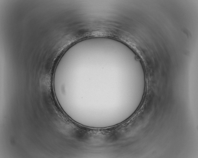 X0000112370297200908131523