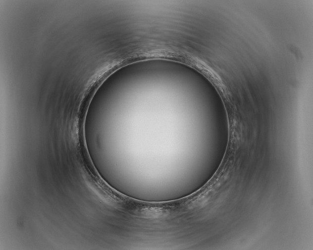 X0000112370298200908131523