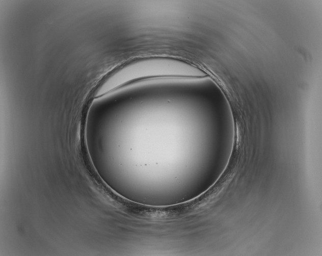 X0000112370301200908131523