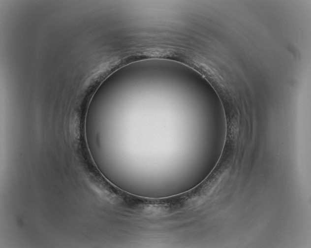 X0000112370303200908131523