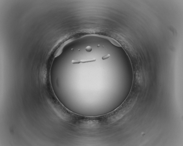 X0000112370304200908131523