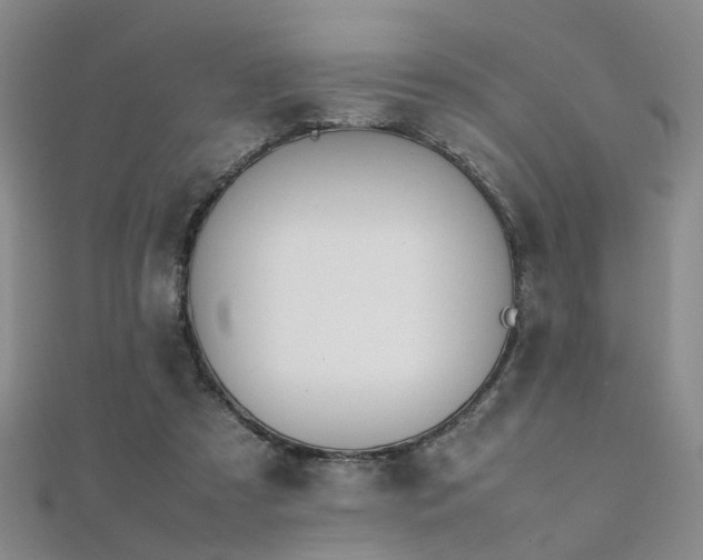 X0000112370305200908131523