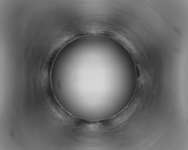 X0000112370306200908131523