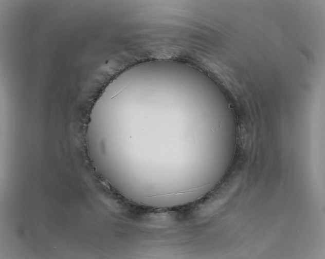 X0000112370307200908131523