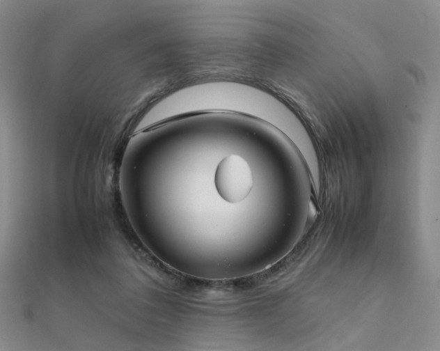 X0000112370308200908131523