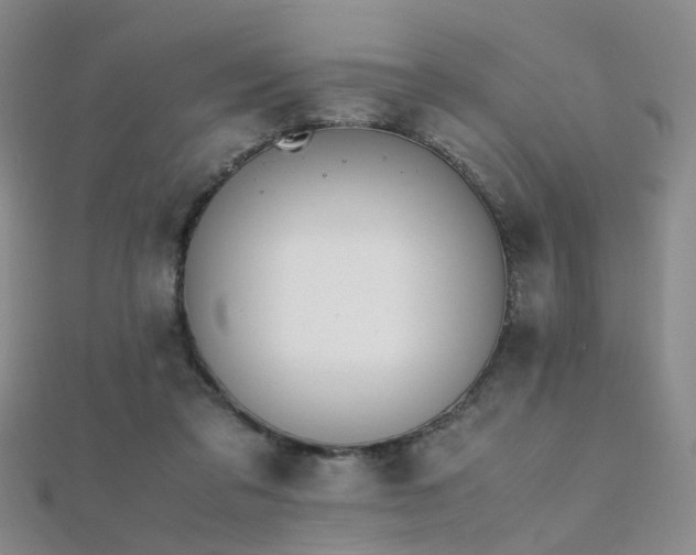 X0000112370309200908131523