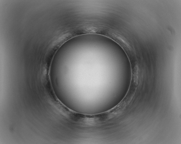 X0000112370314200908131523