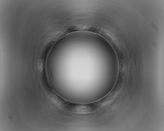 X0000112370315200908131523