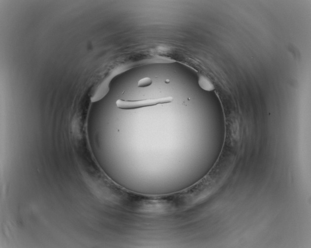 X0000112370316200908131523