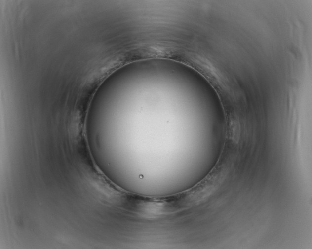 X0000112370318200908131523