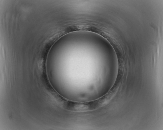 X0000112370319200908131523