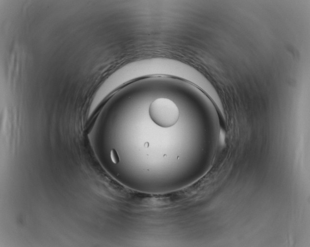 X0000112370320200908131523