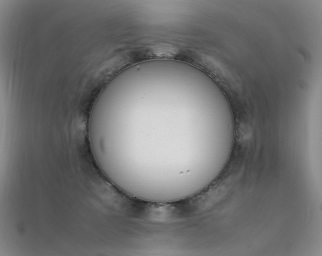 X0000112370321200908131523